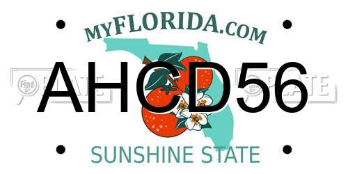 AHCD56 Florida License Plate
