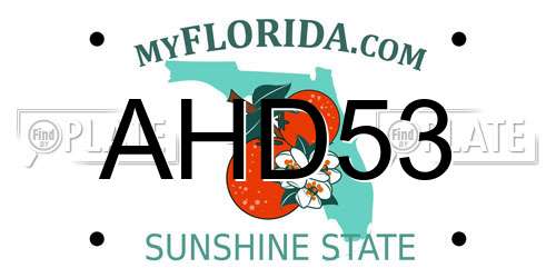 AHD53 Florida License Plate