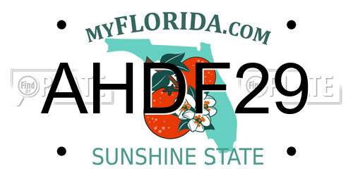 AHDF29 Florida License Plate