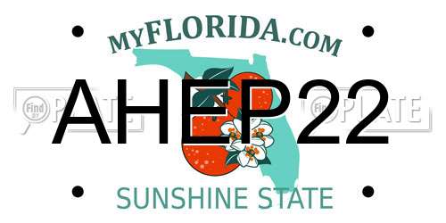 AHEP22 Florida License Plate