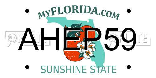 AHEP59 Florida License Plate