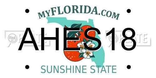AHES18 Florida License Plate