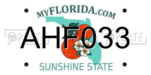 AHF033 Florida License Plate