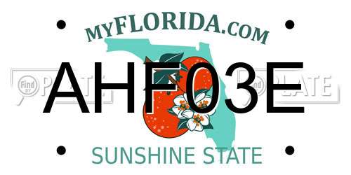 AHF03E Florida License Plate