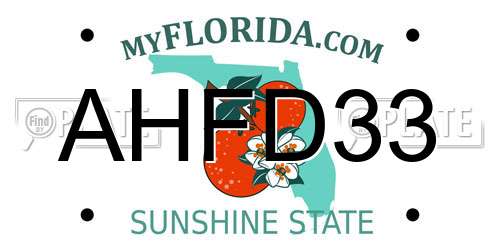 AHFD33 Florida License Plate