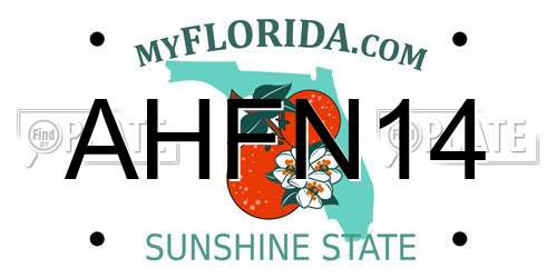AHFN14 Florida License Plate