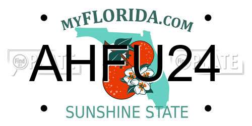 AHFU24 Florida License Plate