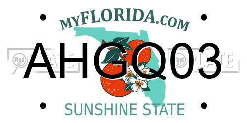 AHGQ03 Florida License Plate
