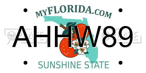 AHHW89 Florida License Plate
