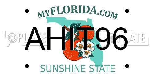 AHIT96 Florida License Plate