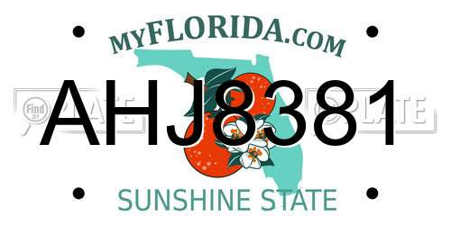AHJ8381 Florida License Plate