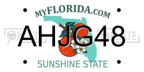 AHJG48 Florida License Plate