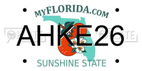 AHKE26 Florida License Plate