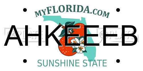AHKEEEB Florida License Plate