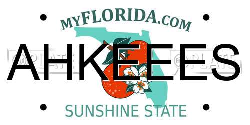 AHKEEES Florida License Plate