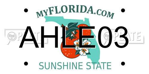 AHLE03 Florida License Plate