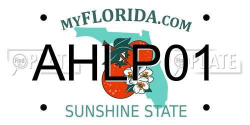 AHLP01 Florida License Plate