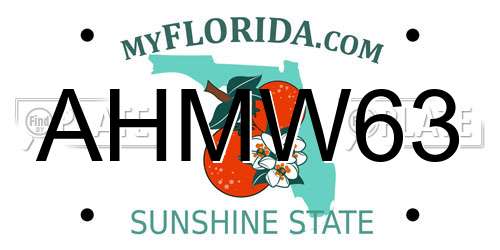 AHMW63 Florida License Plate