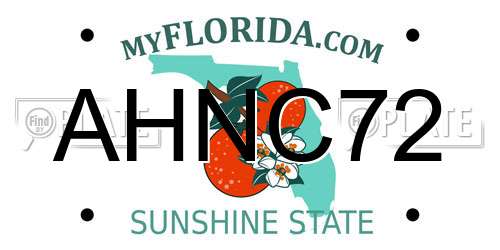 AHNC72 Florida License Plate
