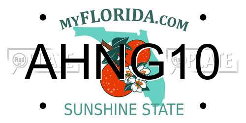 AHNG10 Florida License Plate