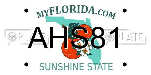 AHS81 Florida License Plate