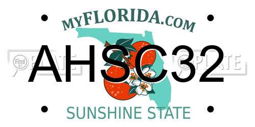 AHSC32 Florida License Plate