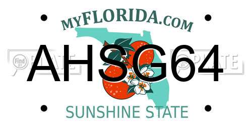 AHSG64 Florida License Plate