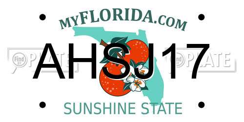 AHSJ17 Florida License Plate