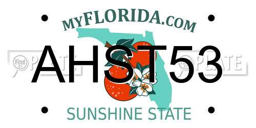 AHST53 Florida License Plate