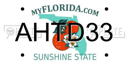 AHTD33 Florida License Plate