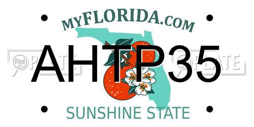 AHTP35 Florida License Plate