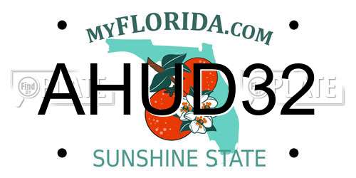 AHUD32 Florida License Plate