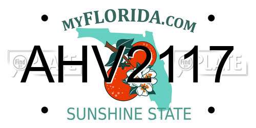 AHV2117 Florida License Plate