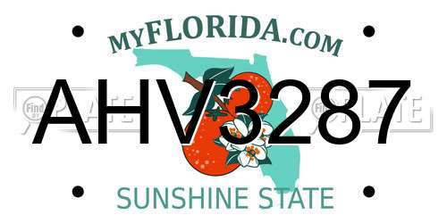 AHV3287 Florida License Plate
