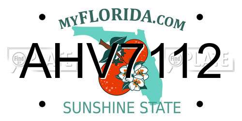 AHV7112 Florida License Plate
