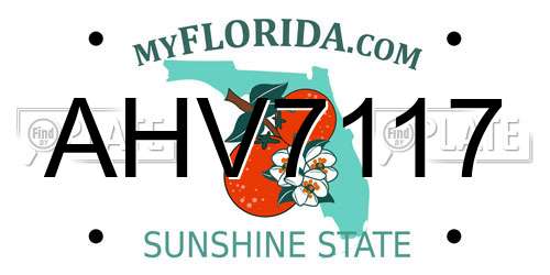 AHV7117 Florida License Plate