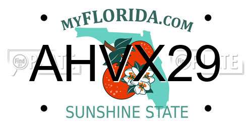 AHVX29 Florida License Plate