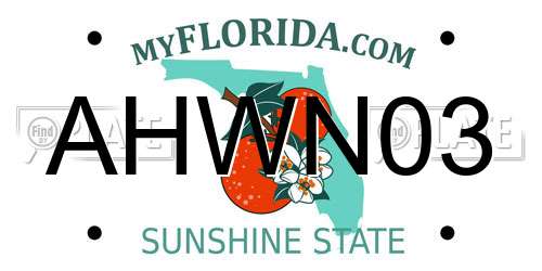 AHWN03 Florida License Plate