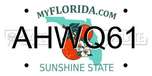 AHWQ61 Florida License Plate