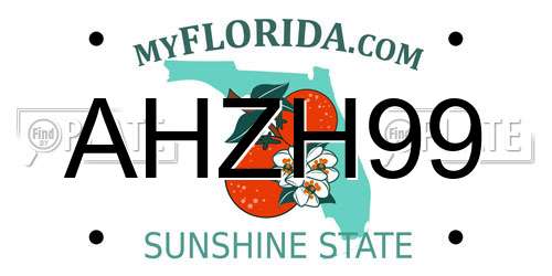 AHZH99 Florida License Plate