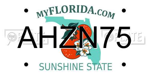 AHZN75 Florida License Plate