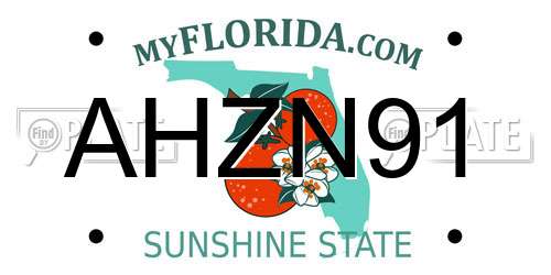 AHZN91 Florida License Plate