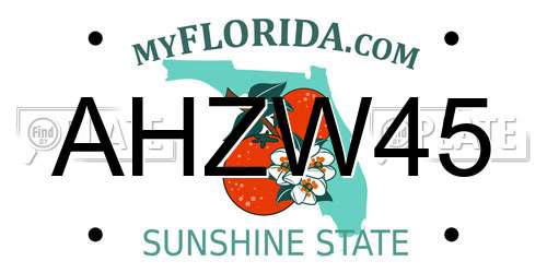 AHZW45 Florida License Plate
