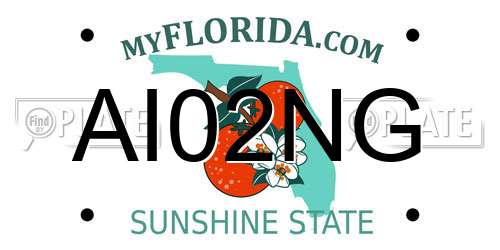 AI02NG Florida License Plate