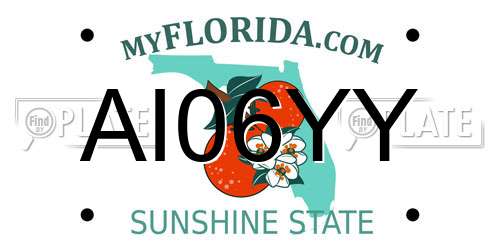 AI06YY Florida License Plate