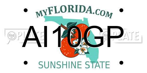 AI10GP Florida License Plate
