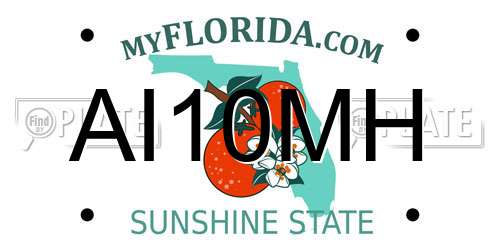 AI10MH Florida License Plate