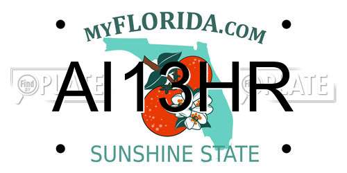AI13HR Florida License Plate