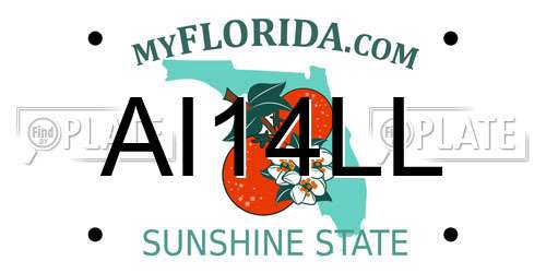AI14LL Florida License Plate