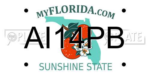 AI14PB Florida License Plate
